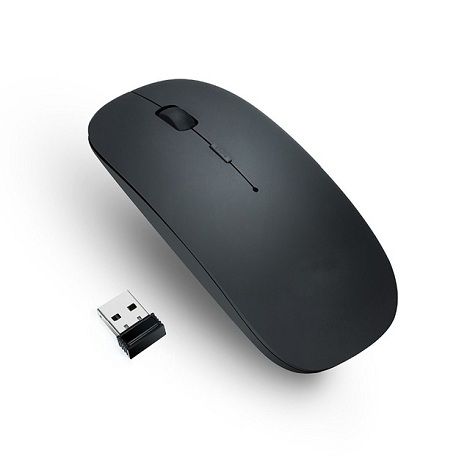 Mouse-4